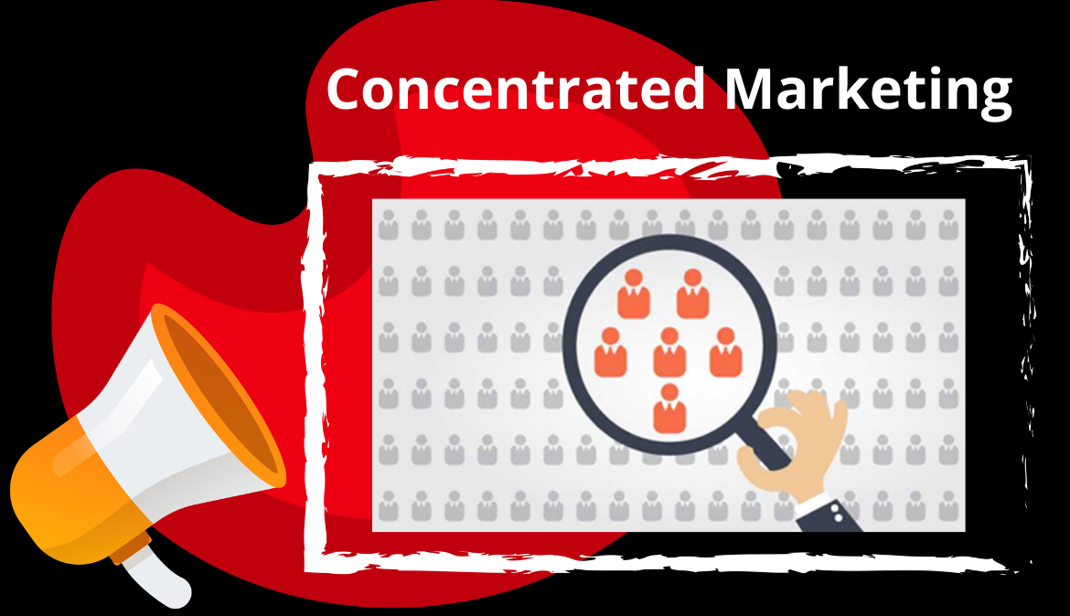 what-is-concentrated-marketing-how-to-implement-to-your-business